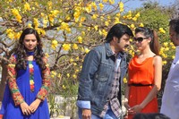 Balakrishna New Movie Launch